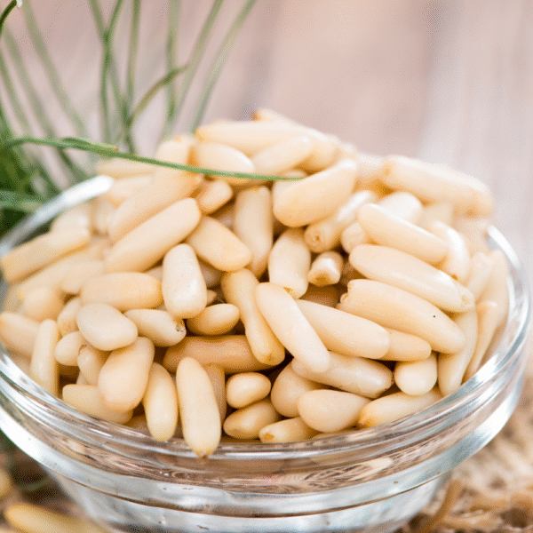 pine nuts-chilgoza
