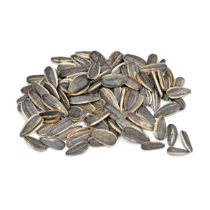 Premium Sunflower Seeds – Fresh & Crunchy